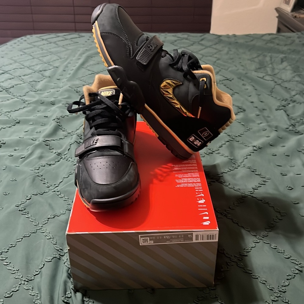 Nike Air Trainer 1 CFP - Size 14M - NWT-Special Edition and sold out at Nike(14)
